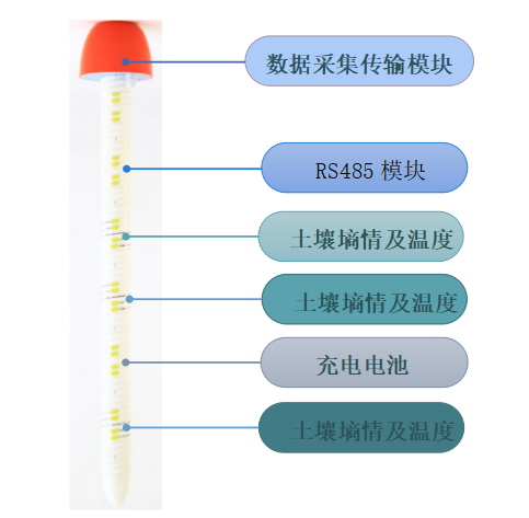 一體化土壤.png